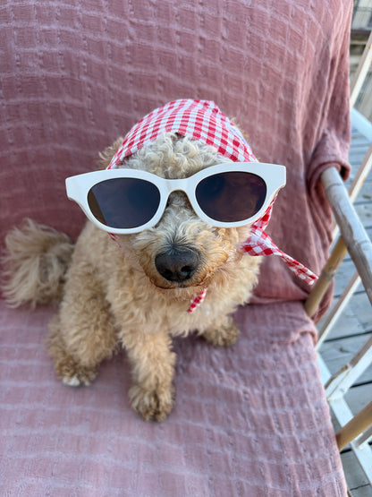 Bandana pour chien personnalisable VICHY ROUGE