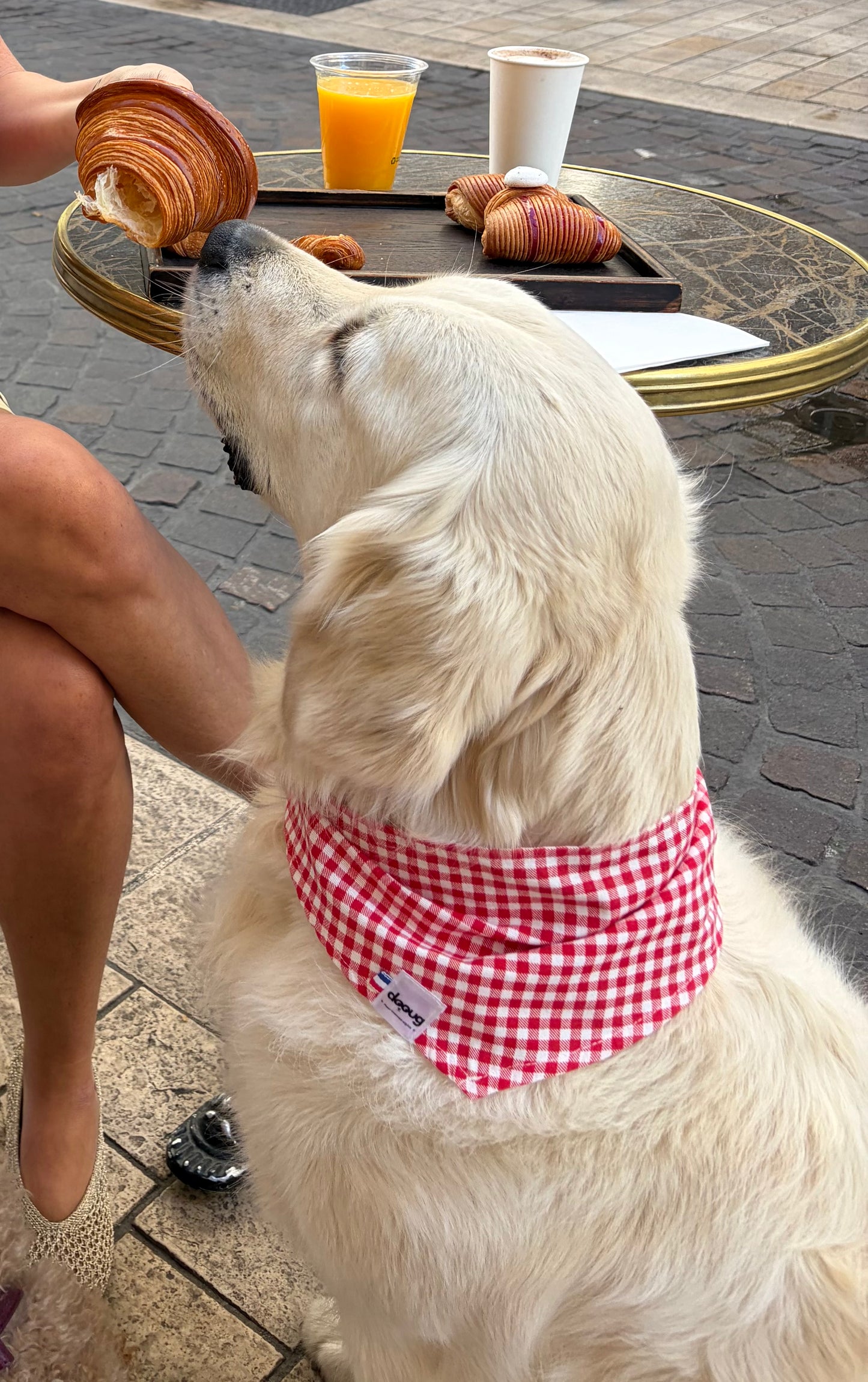 BANDANA VICHY ROUGE