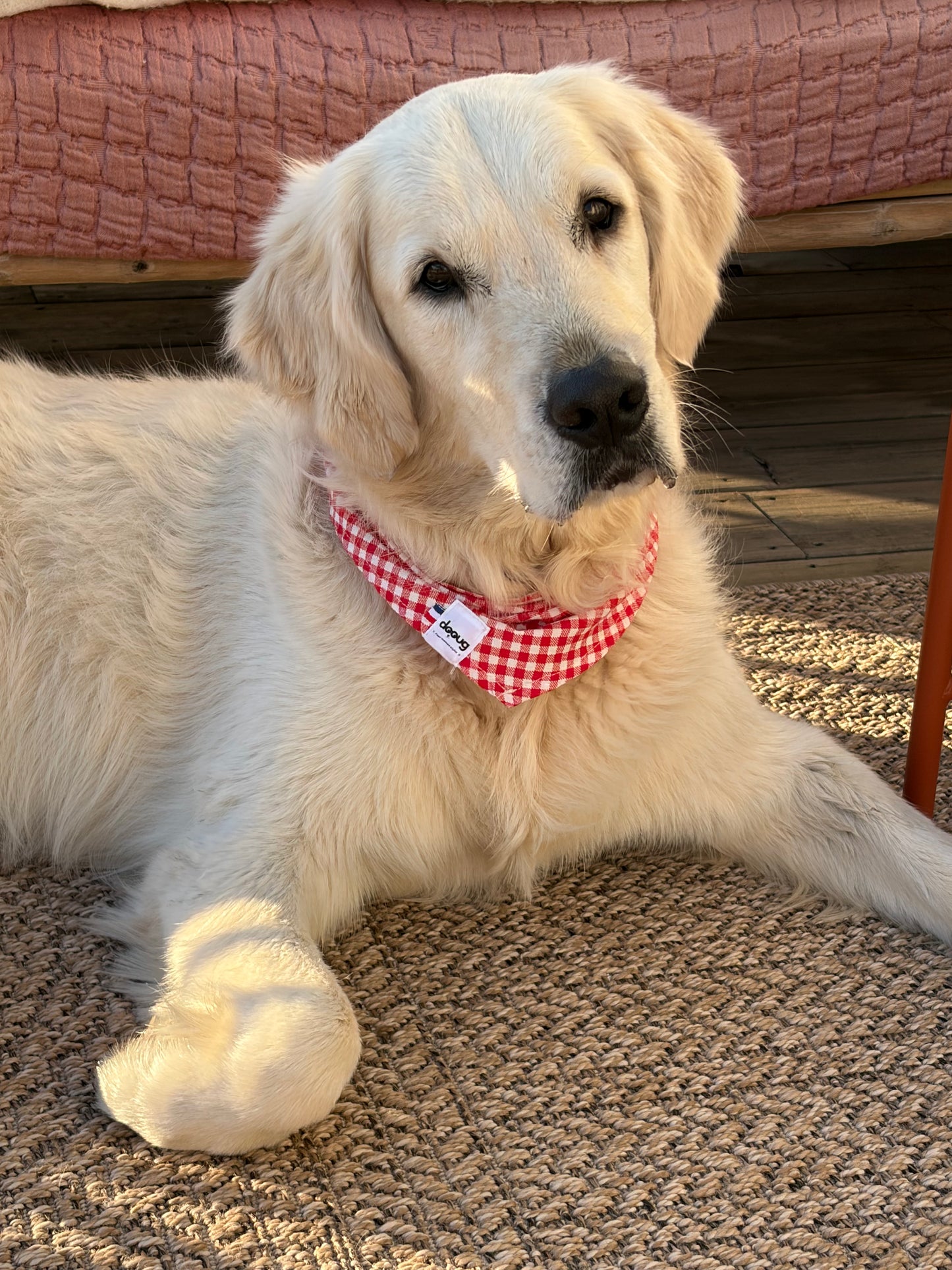 Bandana pour chien personnalisable VICHY ROUGE