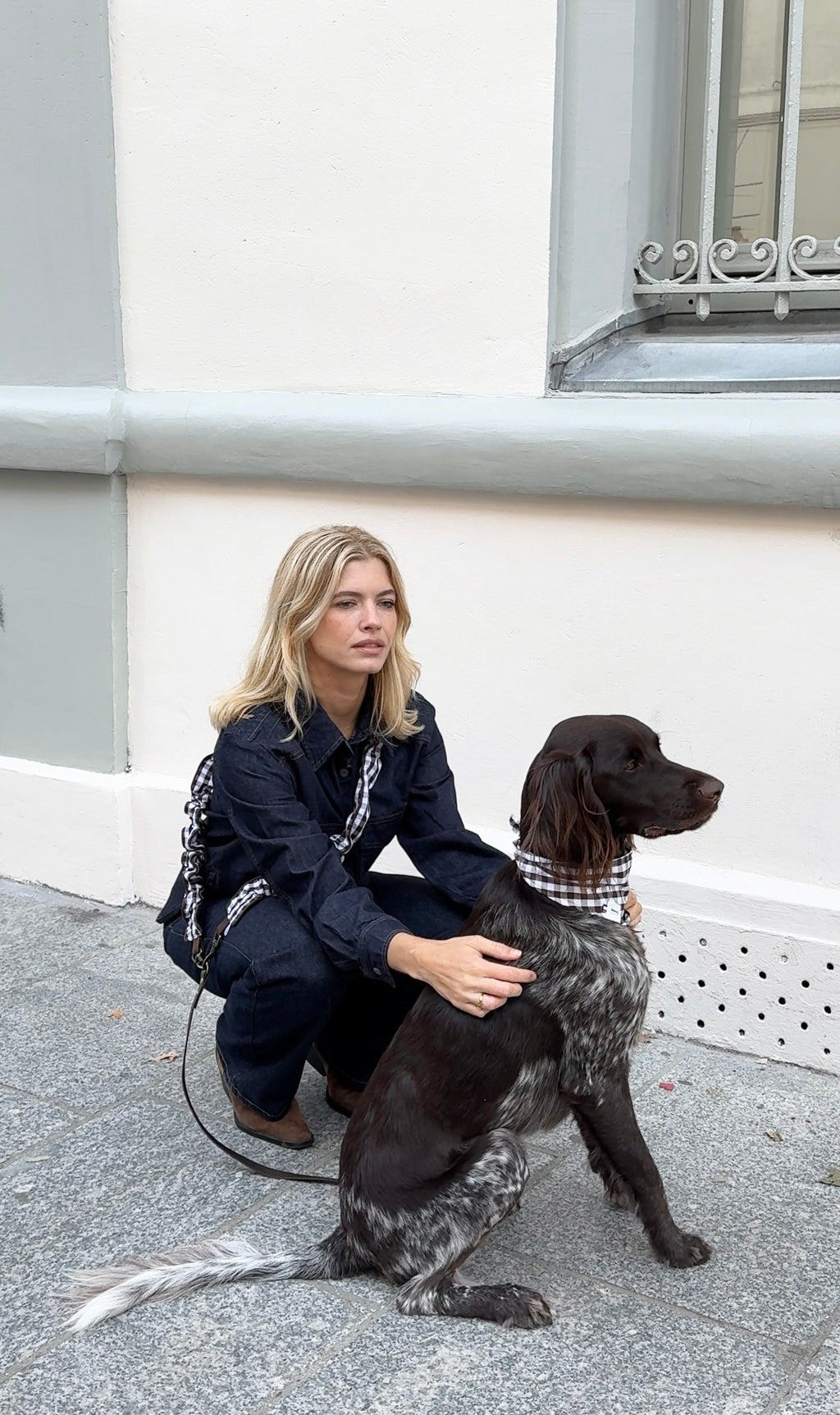 Bandana pour chien VICHY MARRON