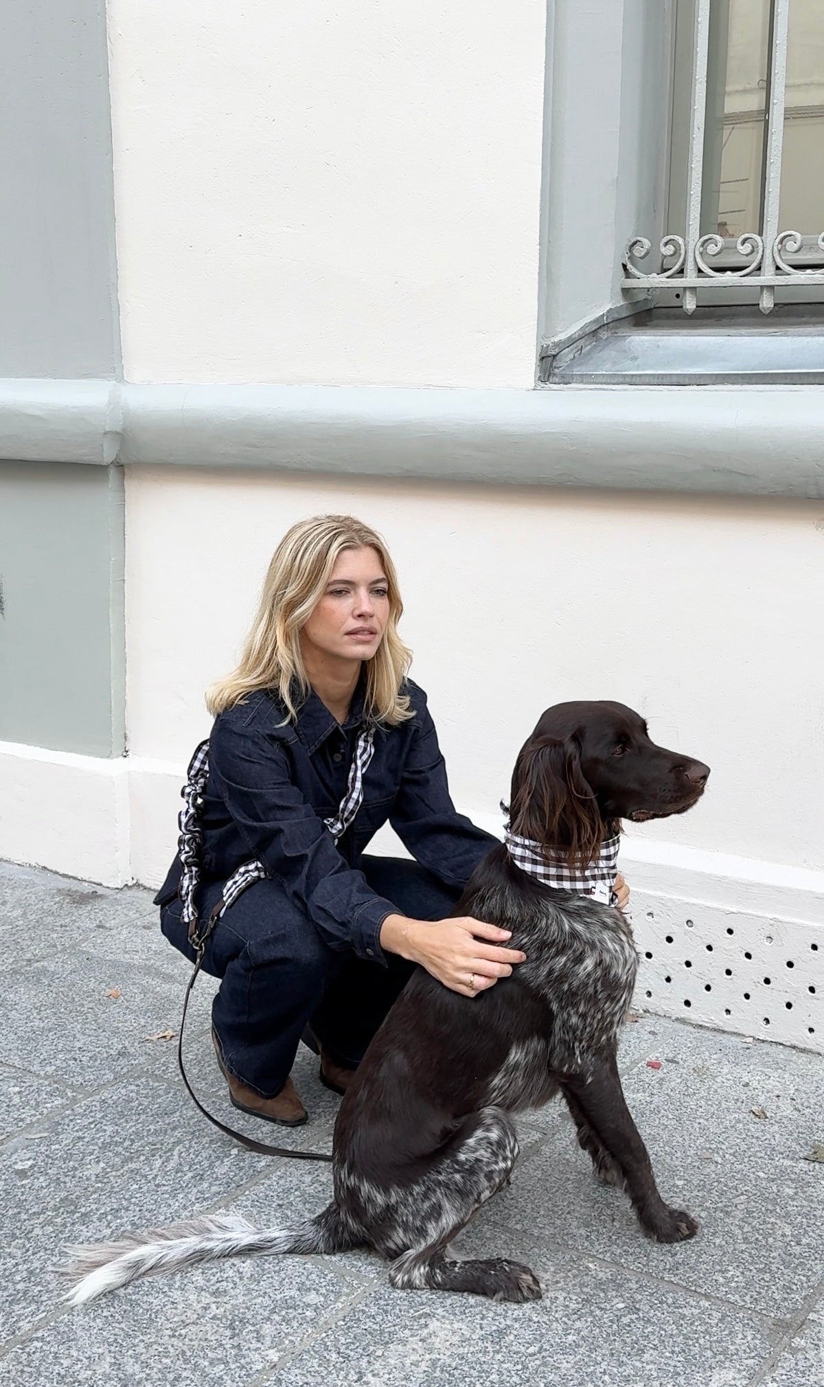Bandana pour chien VICHY MARRON