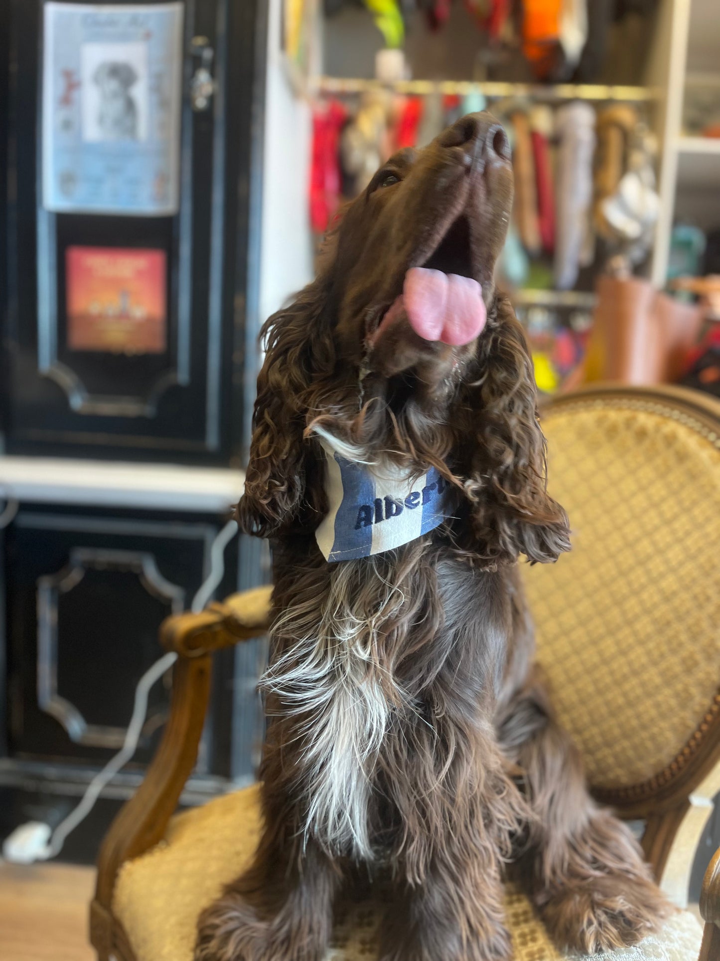 Bandana pour chien personnalisable GREEKIA