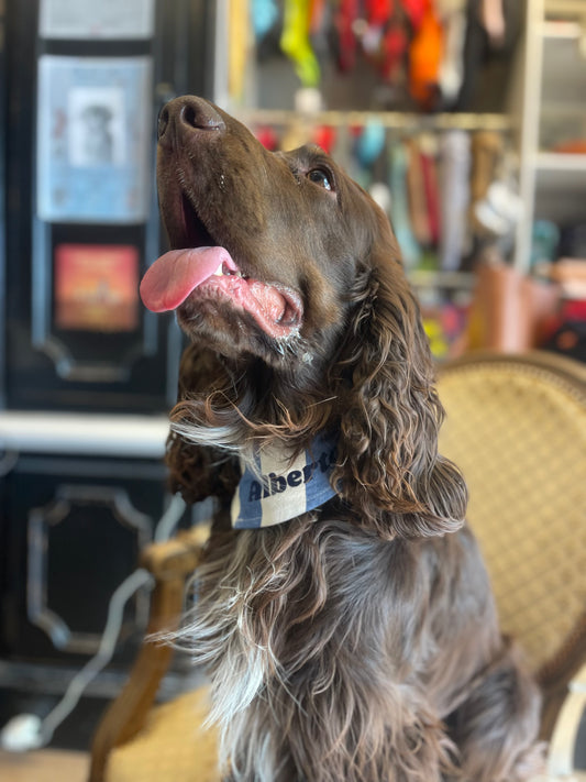 Bandana pour chien personnalisable GREEKIA