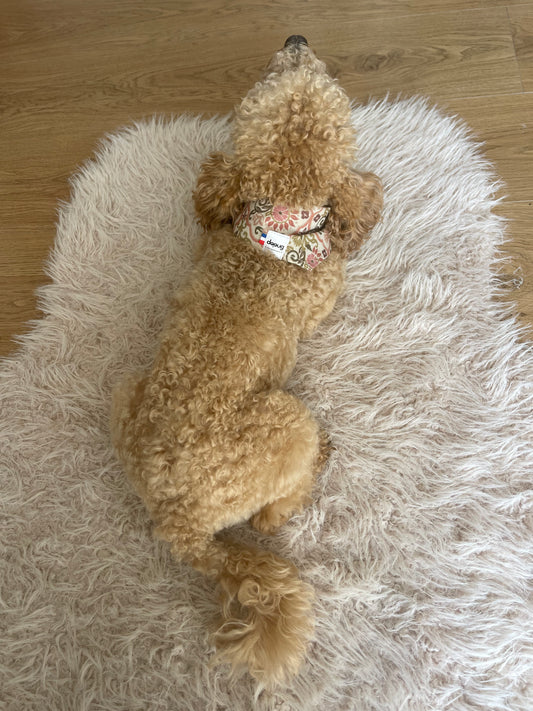 Bandana pour chien personnalisable INDY
