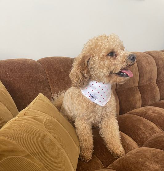 Bandana pour chien COEURS