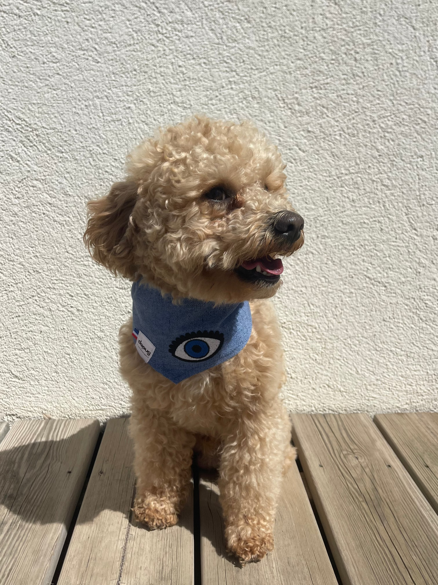 Bandana pour chien JEAN CLAIR OEIL