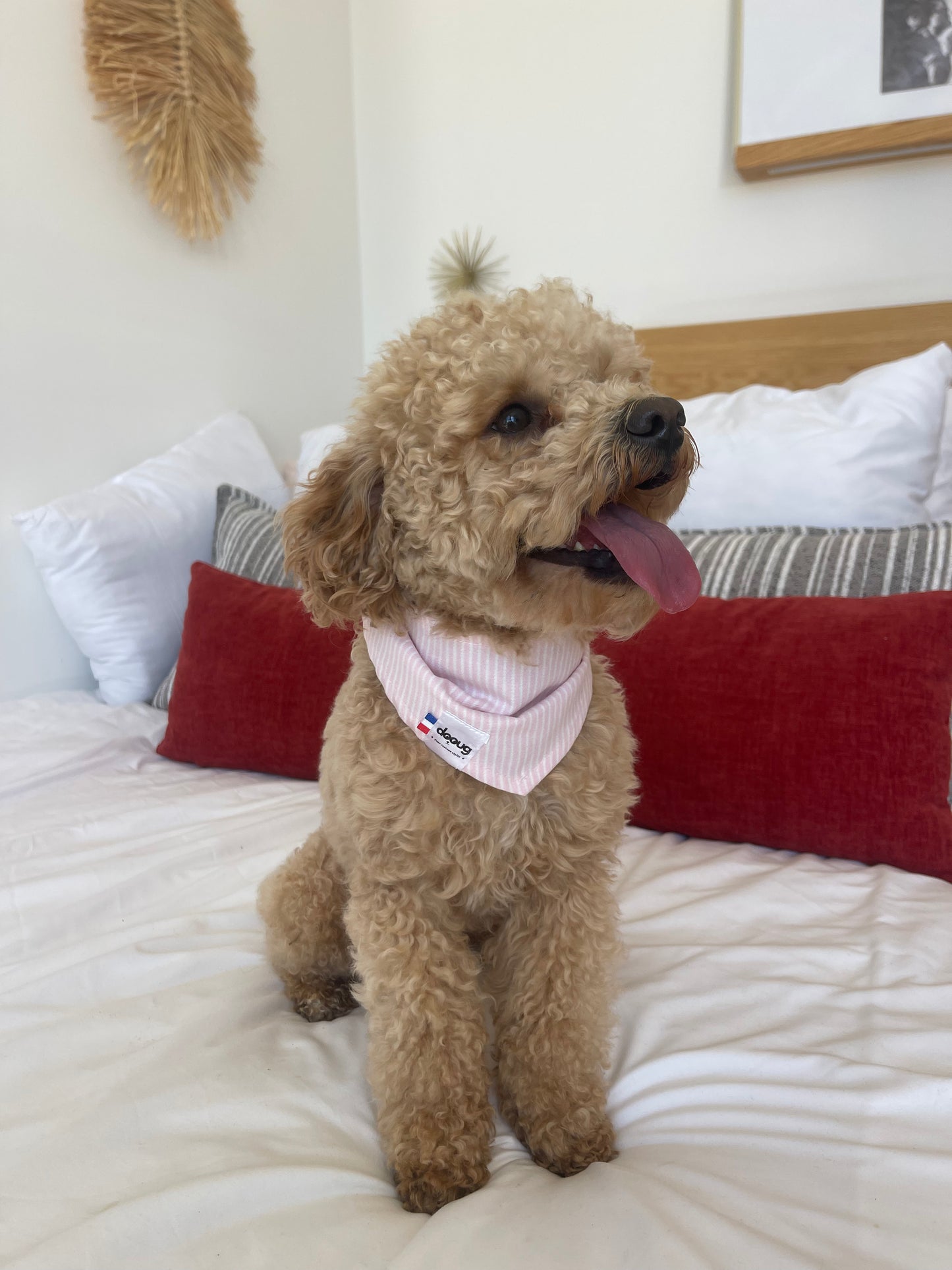 Bandana pour chien personnalisable RAYÉ ROSE