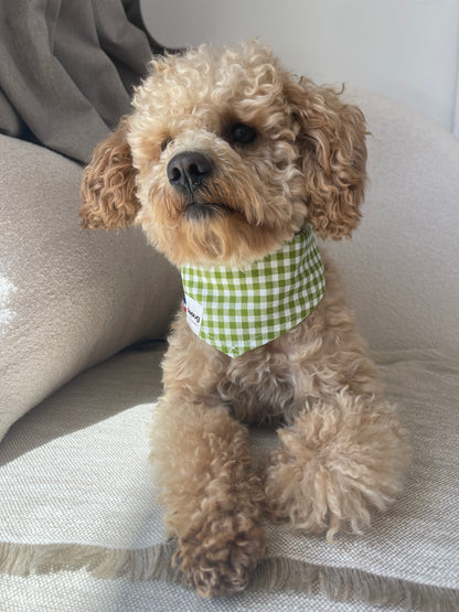 Bandana pour chien VICHY VERT