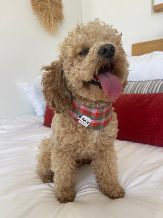 Bandana pour chien CARREAUX ROUGE VERT