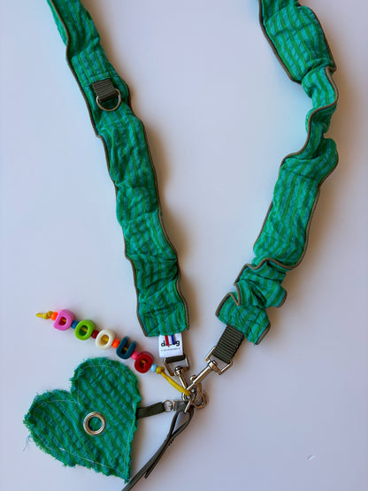 LAISSE RAYÉ TURQUOISE ET VERT