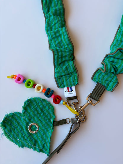 LAISSE RAYÉ TURQUOISE ET VERT