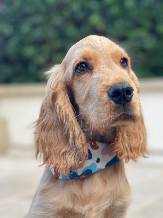 Bandana pour chien personnalisable SPRING