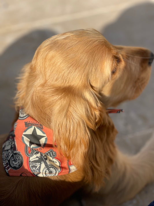Bandana pour chien personnalisable LE MOTARD