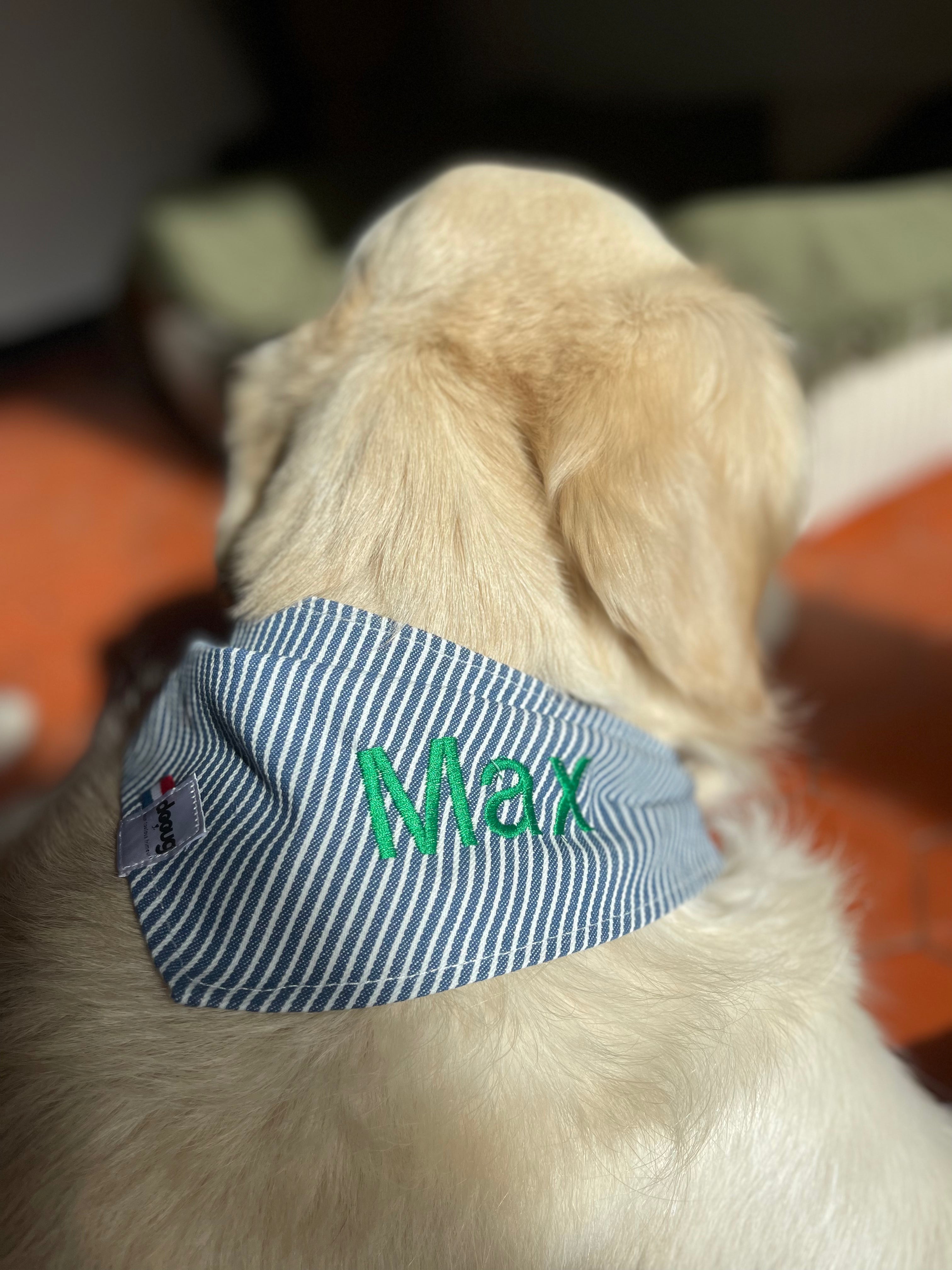 Bandana pour chien personnalisable RAYÉ BLEU