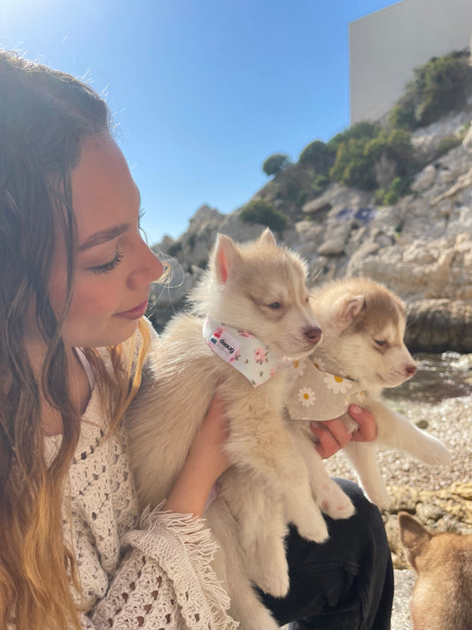 Bandana pour chien personnalisable ROSES
