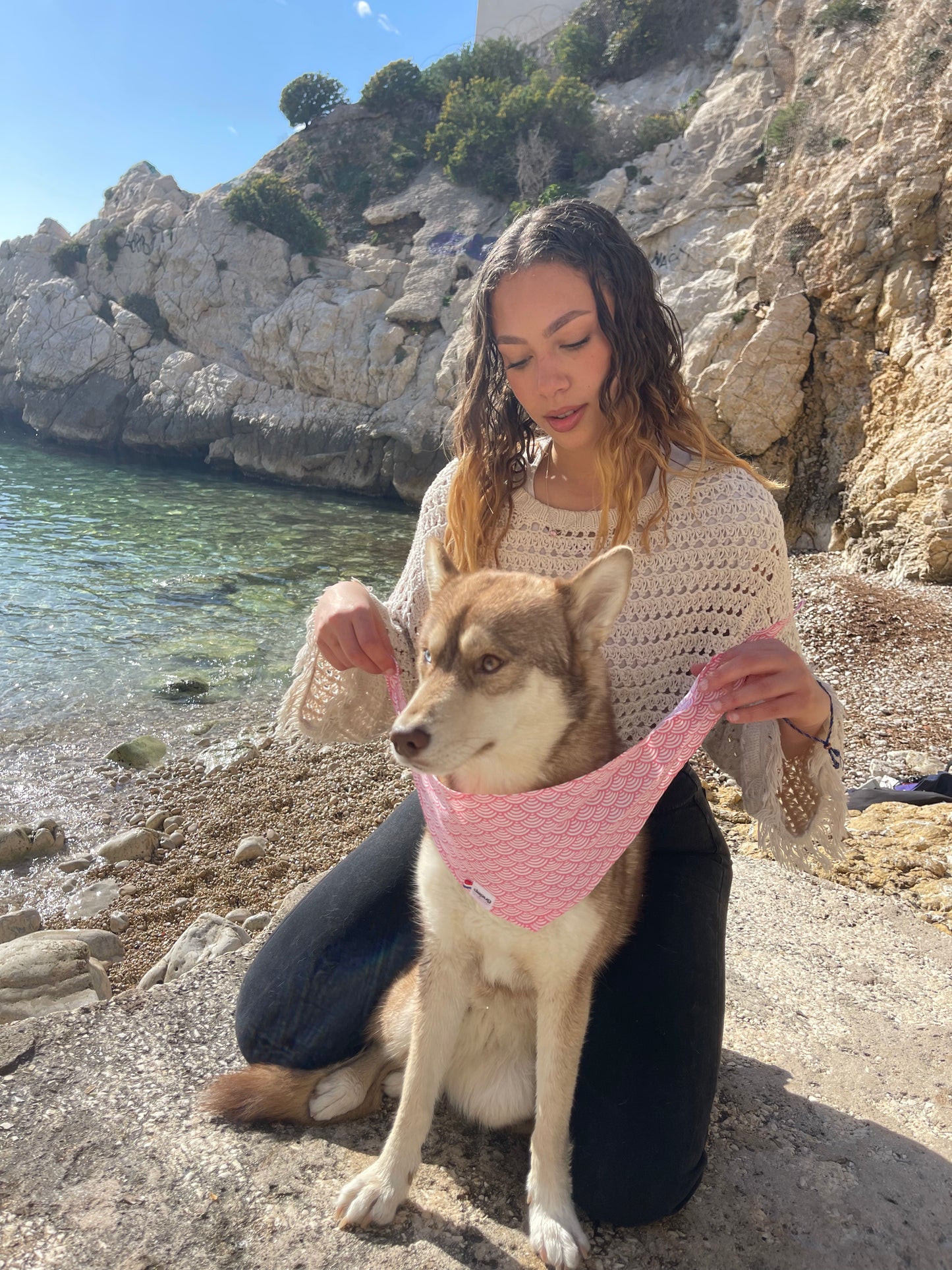 Bandana pour chien PINK JAPON