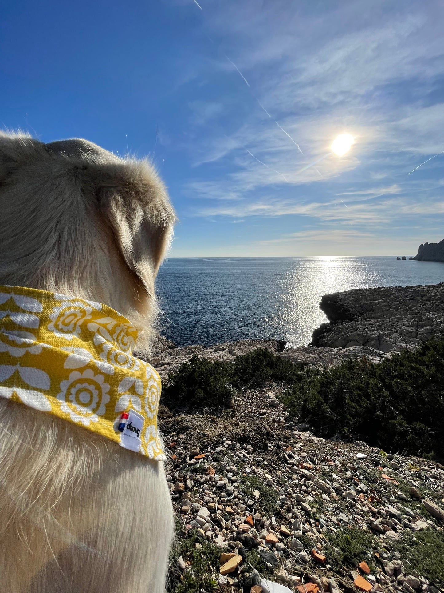 Bandana pour chien personnalisable TOURNESOL