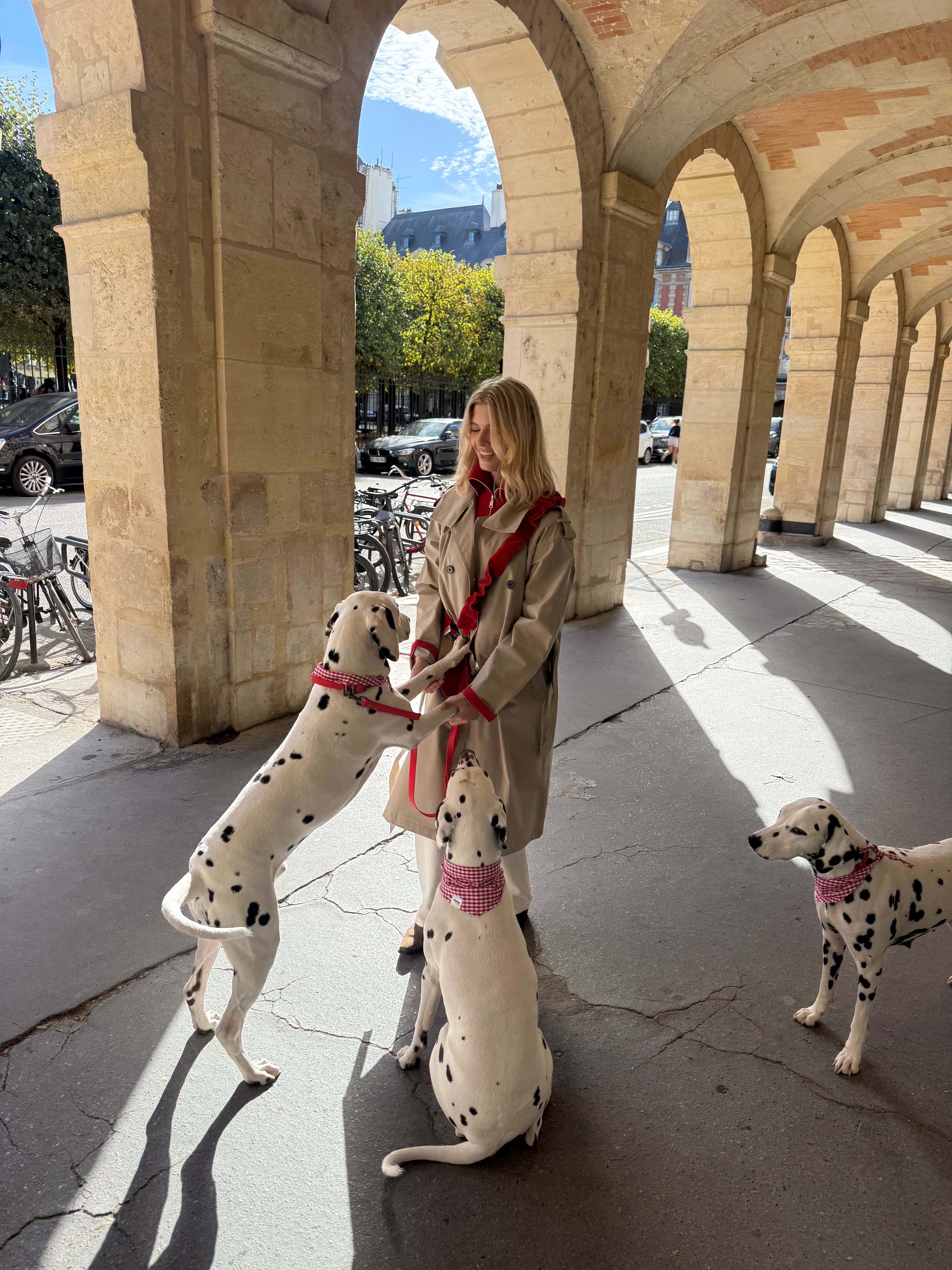 LAISSE MULTI-POSITIONS VELOURS ROUGE