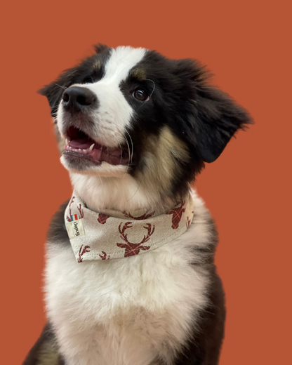 Bandana pour chien personnalisable CERF