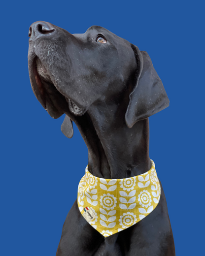 Bandana pour chien personnalisable TOURNESOL