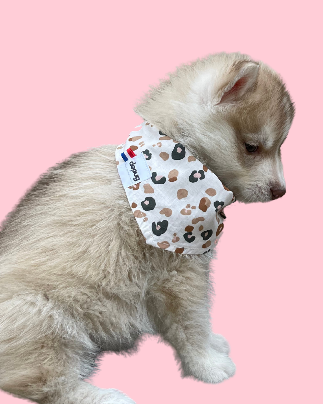 Bandana pour chien personnalisable LEOPARD