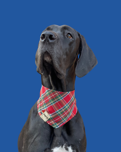 Bandana pour chien personnalisable TARTAN