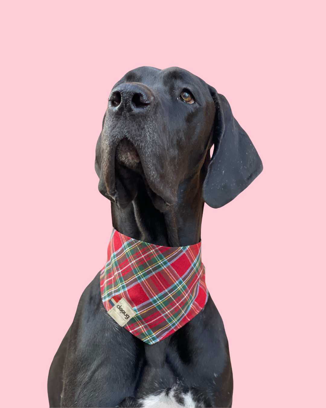 Bandana pour chien personnalisable TARTAN