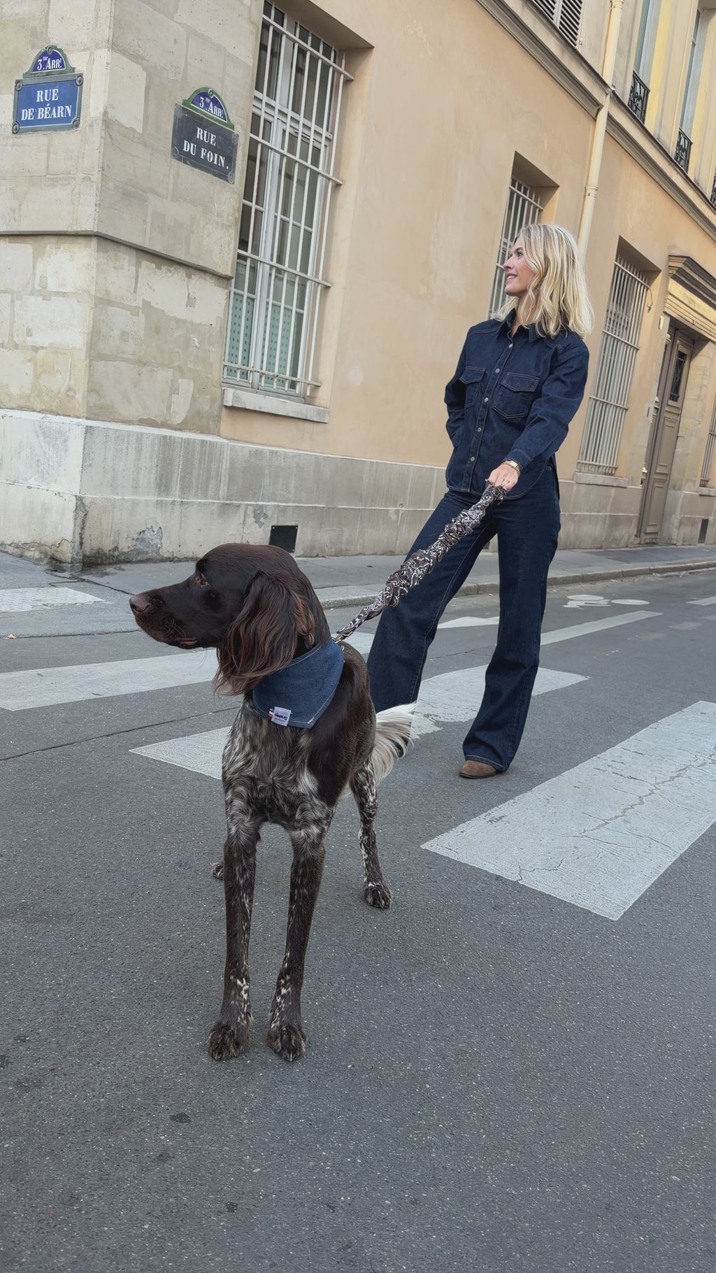 LAISSE MULTI-POSITIONS IMPRIMÉ BANDANA MARRON